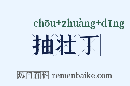 抽壮丁是什么意思的图片